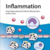 Inflammation, 4 Volume Set: From Molecular and Cellular Mechanisms to the Clinic 1st Edition PDF Inflammation, 4 Volume Set: From Molecular and Cellular Mechanisms to the Clinic 1st Edition PDF