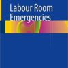 Labour Room Emergencies 1st ed. 2020 Edition PDF Labour Room Emergencies 1st ed. 2020 Edition PDF