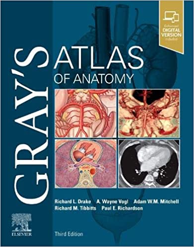 Gray’s Atlas of Anatomy (Gray’s Anatomy) 3rd Edition PDF Gray’s Atlas of Anatomy (Gray’s Anatomy) 3rd Edition PDF