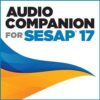 Audio Companion for SESAP® 17 (2020) Audio Companion for SESAP® 17 (2020)