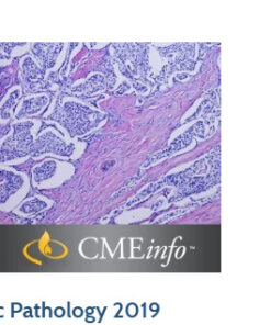 Masters of Pathology : Pancreatic Pathology 2019