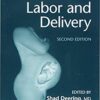 A Practical Manual to Labor and Delivery 2nd Edition PDF A Practical Manual to Labor and Delivery 2nd Edition PDF