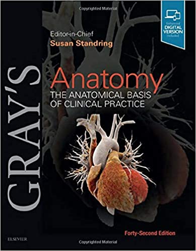 Gray’s Anatomy: The Anatomical Basis of Clinical Practice 42nd Edition PDF Gray’s Anatomy: The Anatomical Basis of Clinical Practice 42nd Edition PDF