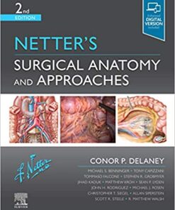Netter’s Surgical Anatomy and Approaches 2nd Edition PDF