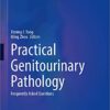 Practical Genitourinary Pathology: Frequently Asked Questions 1st ed. 2021 Edition PDF