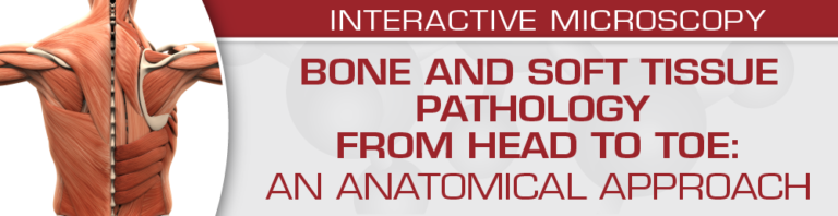 USCAP Bone and Soft Tissue Pathology from Head to Toe: An Anatomical Approach 2022 CME VIDEOS USCAP Bone and Soft Tissue Pathology from Head to Toe: An Anatomical Approach 2022 CME VIDEOS