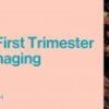 2021 Advances in First Trimester Ultrasound Imaging