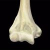 MRI Mastery Series: Elbow 2021