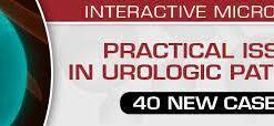 Practical Issues in Urologic Pathology – 40 New Cases! 2021