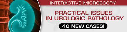 Practical Issues in Urologic Pathology – 40 New Cases! 2021