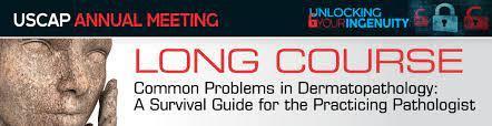 2019 Annual Meeting Long Course - Common Problems in Dermatopathology