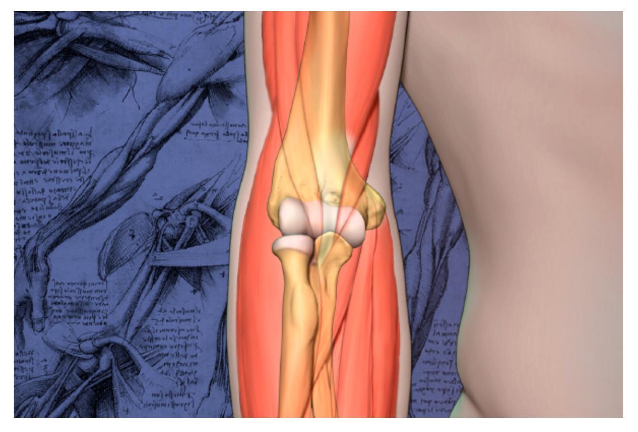 2020 Mayo Clinic "Teach the Teachers" Elbow Course - Forging the Future