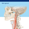 Neurosurgery Fundamentals 1st Edition PDF Neurosurgery Fundamentals 1st Edition PDF