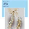 Cervical Spine Deformity Surgery (Original PDF from Publisher) Cervical Spine Deformity Surgery (Original PDF from Publisher)
