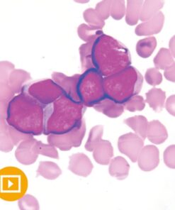 Farmaci in odontoiatria (Original PDF from Publisher)