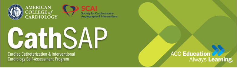 CathSAP – Brand New!