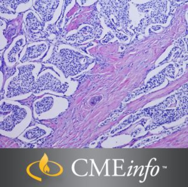 Pancreatic Pathology Masters of Pathology Series