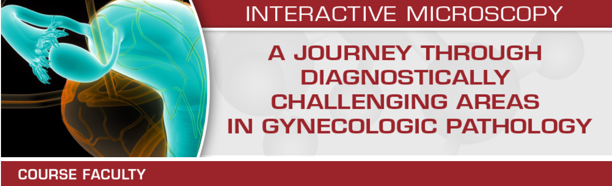 A Journey through Diagnostically Challenging Areas in Gynecologic Pathology