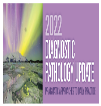 2022 Diagnostic Pathology Update: Pragmatic Approaches to Daily Practice (CME VIDEOS)