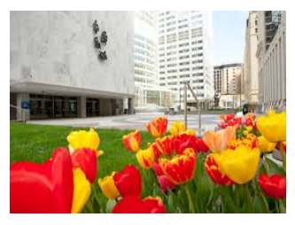 Mayo Clinic Internal Medicine Board Review 2022 (Videos + Quiz)