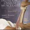 Manuel de Palpation Osseuse et Musculaire, 2e édition Points Gâchettes, Zones de Projection et étirements 2018 Original pdf Manuel de Palpation Osseuse et Musculaire, 2e édition Points Gâchettes, Zones de Projection et étirements 2018 Original pdf