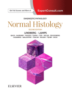 Diagnostic Pathology: Normal Histology A volume in Diagnostic Pathology 2018 Original pdf