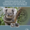 The Biology and Identification of the Coccidia (Apicomplexa) of Marsupials of the World 2016 original pdf