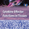 Cytokine Effector Functions in Tissues 2017 original pdf