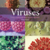 Viruses From Understanding to Investigation 2017original pdf