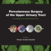 Percutaneous Surgery of the Upper Urinary Tract 2016 Original pdf Percutaneous Surgery of the Upper Urinary Tract 2016 Original pdf