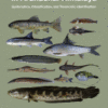 Biodiversity of Fishes in Arunachal Himalaya Systematics, Classification, and Taxonomic Identification 2019 Original pdf