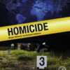 Homicide 2018 Original pdf Homicide 2018 Original pdf