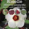 Roselle (Hibiscus sabdariffa) Chemistry, Production, Products, and Utilization 2021 Original pdf Roselle (Hibiscus sabdariffa) Chemistry, Production, Products, and Utilization 2021 Original pdf