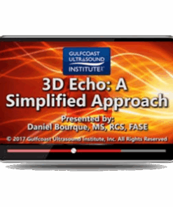 3D Echo: A Simplified Approach