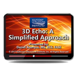 3D Echo: A Simplified Approach