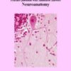 USMLE Step I Practice Questions: Neuroanatomy Practice Questions with Annotated Answers  EPUB  2014
