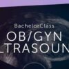 123Sonography OB/GYN Ultrasound BachelorClass (Videos+Quiz)