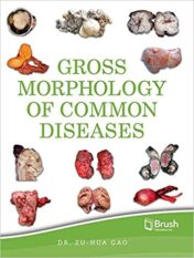 Gross Morphology of Common Diseases 2020 Original pdf