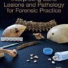 Interpreting Bone Lesions and Pathology for Forensic Practice original pdf 2020 Interpreting Bone Lesions and Pathology for Forensic Practice original pdf 2020