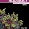 Microbiology: Laboratory Theory & Application, Brief 3e (Original PDF from Publisher)