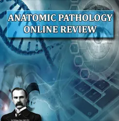 Non-Invasive and Additive Prosthodontics Restorations CME VIDEOS