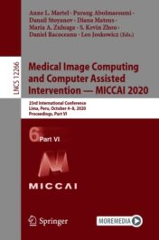 Medical Image Computing and Computer Assisted Intervention – MICCAI 2020 23rd International Conference, Lima, Peru, October 4–8, 2020, Proceedings, Part VI 2020 Original pdf+videos