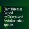 Plant Diseases Caused by Dickeya and Pectobacterium Species 2021 Original pdf