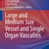 Large and Medium Size Vessel and Single Organ Vasculitis 2021 ORIGINAL PDF