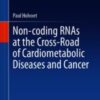 Non-coding RNAs at the Cross-Road of Cardiometabolic Diseases and Cancer 2021 ORIGINAL PDF