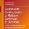 Catalysis and the Mechanism of Methane Conversion to Chemicals C-C and C-O Bonds Formation Using Heterogeneous, Homogenous, and Biological Catalysts 2020 Original pdf Catalysis and the Mechanism of Methane Conversion to Chemicals C-C and C-O Bonds Formation Using Heterogeneous, Homogenous, and Biological Catalysts 2020 Original pdf