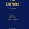 DNA Repair (Volume 45) (The Enzymes, Volume 45) DNA Repair (Volume 45) (The Enzymes, Volume 45)