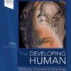 The Developing Human: Clinically Oriented Embryology, 11th Edition (Original PDF)