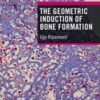 The Geometric Induction of Bone Formation (Original PDF) The Geometric Induction of Bone Formation (Original PDF)
