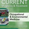 CURRENT Diagnosis & Treatment Occupational & Environmental Medicine, 6th Edition (Current Occupational and Environmental Medicine) (High Quality PDF)